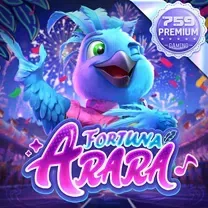 Aplicativo EvolveCasino